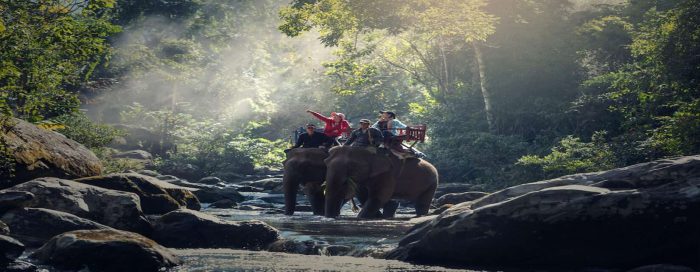 Chitwan Tour Chitwan Tour